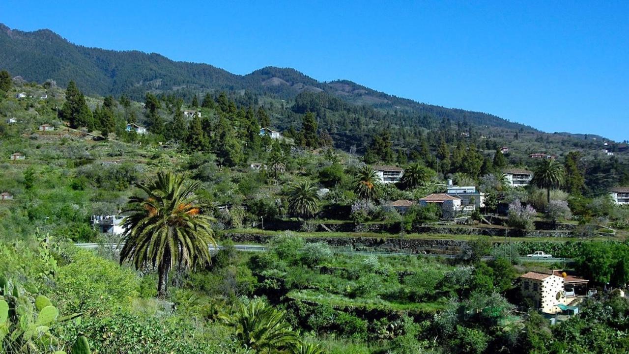 Buenavida Apartment Brena Baja Bagian luar foto